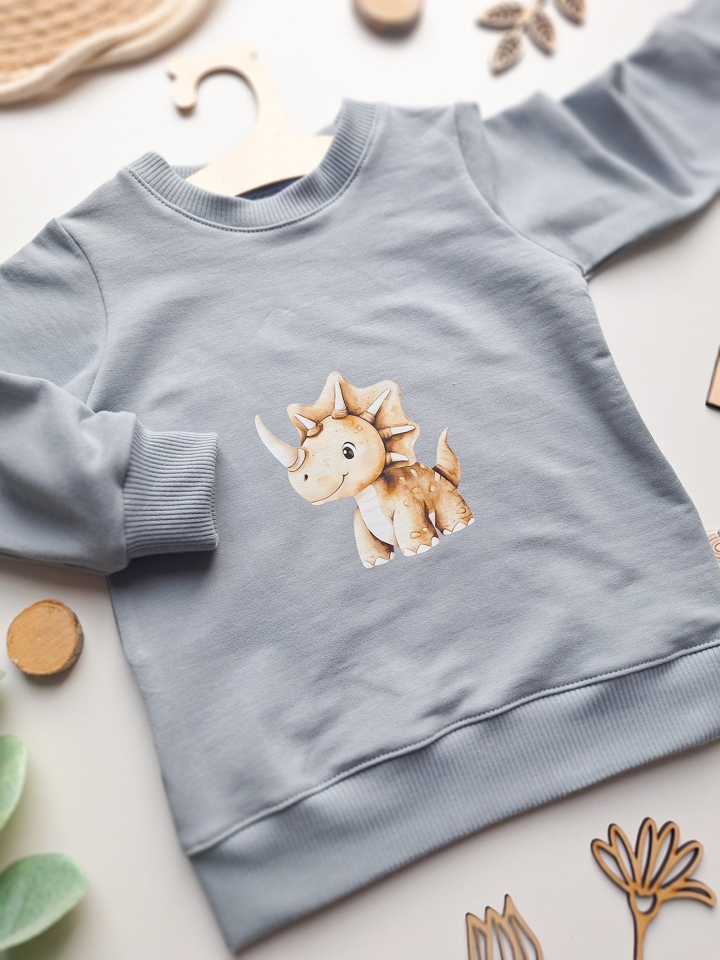 Sweater "Dino" Gr. 80