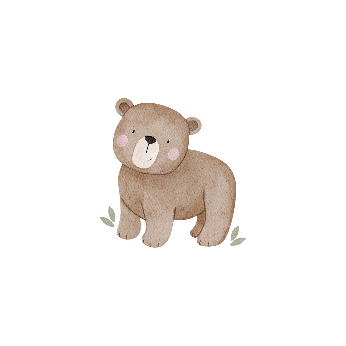 Vorbestellung Bügelbild " Bär Emil"