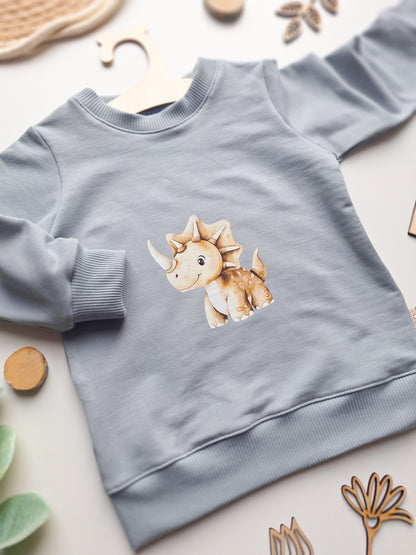 Sweater "Dino" Gr. 80