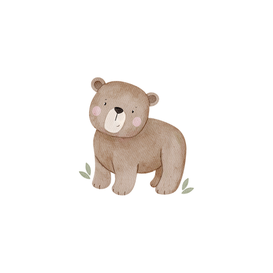 Vorbestellung Bügelbild " Bär Emil"